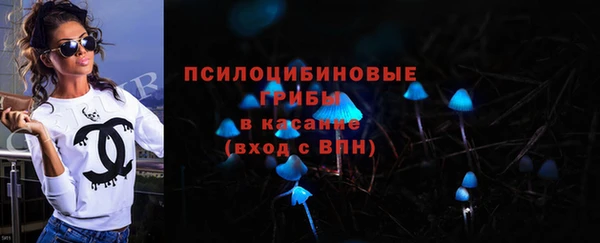 меф Арсеньев