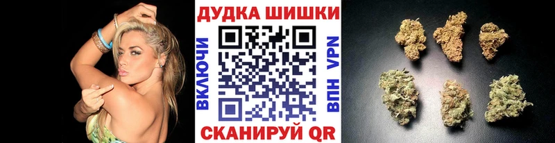 Бошки Шишки гибрид  Красный Холм 